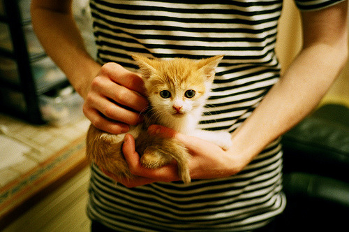 利拉德狂飙50分引爆全场，黄蜂血拼深圳队险胜惊魂