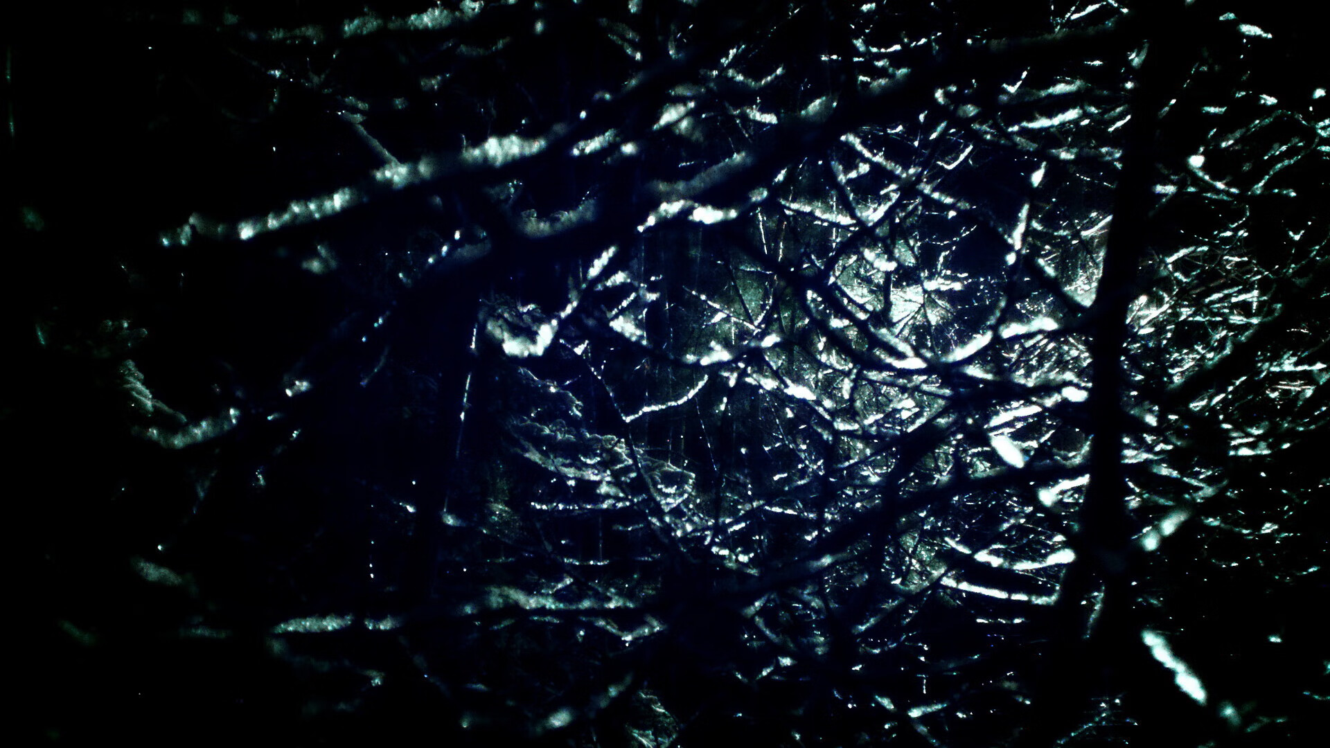 热火轻取奇才，字母哥稳定输出不掉线，NBA赛场双线闪耀