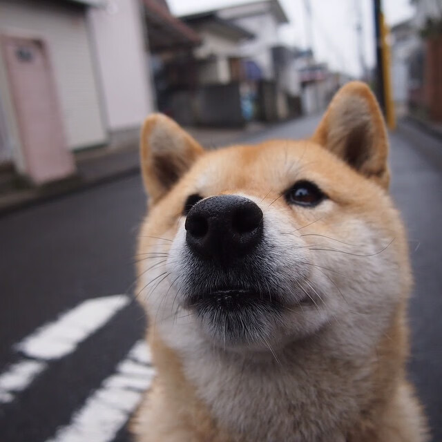 莫德里奇成为胜负手，马德里竞技用战术铁幕压制日本足球