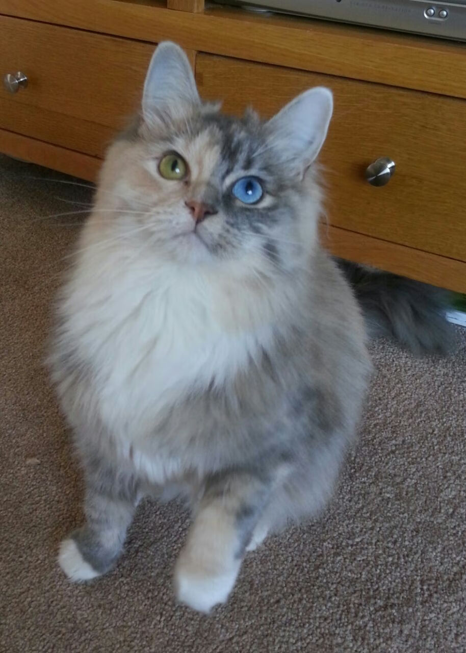 极速与远射，赛道与球场的双重悬念终章