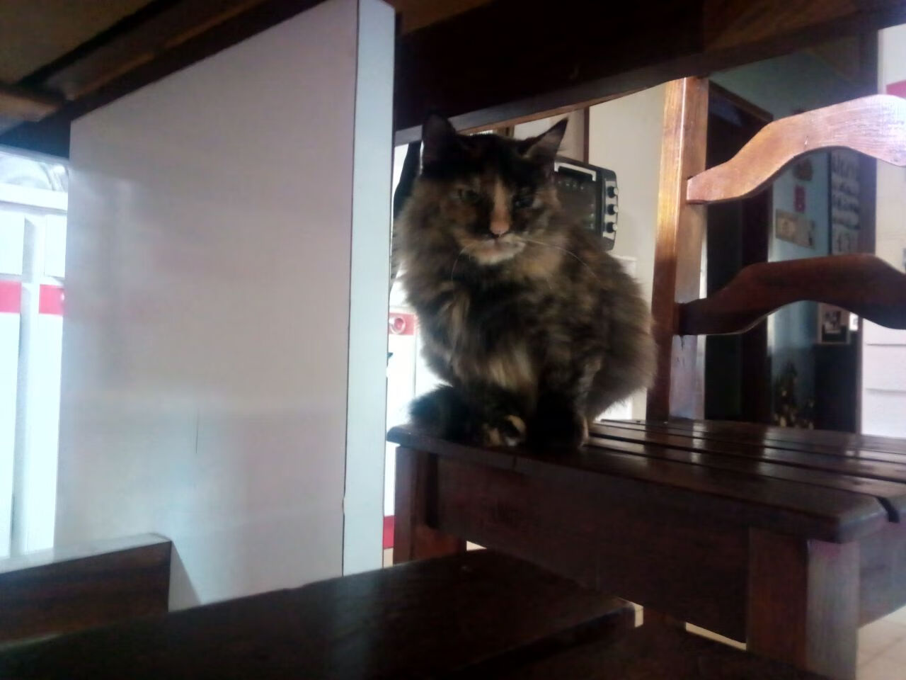 收割与坚守，当希腊的镰刀挥向委内瑞拉黄金，莫德里奇踢出最后的神谕