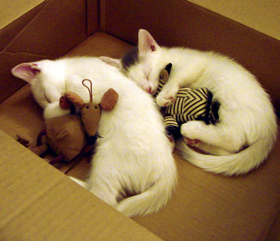 纪录的丰碑，绝杀的闪电，当克罗地亚在最后一刻写下史诗