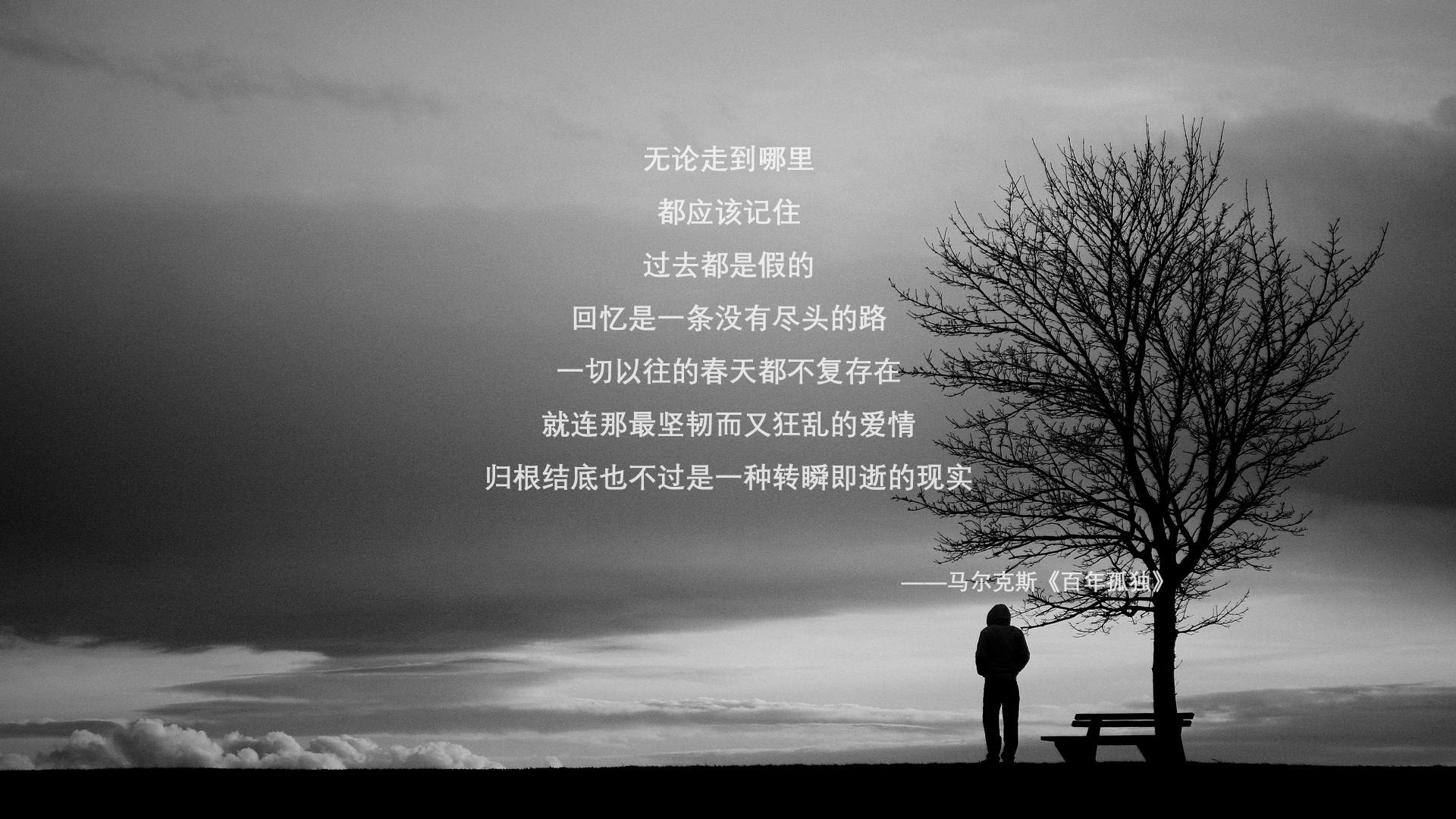 从莱比锡到世界之巅，阿克—塞内加尔晋级的现代门神密码