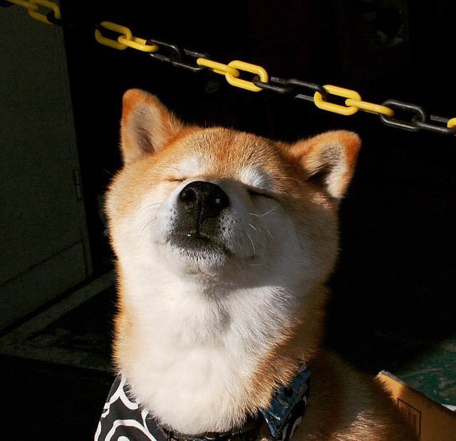 76人强势晋级新疆队，杰伦·格林成为关键先生