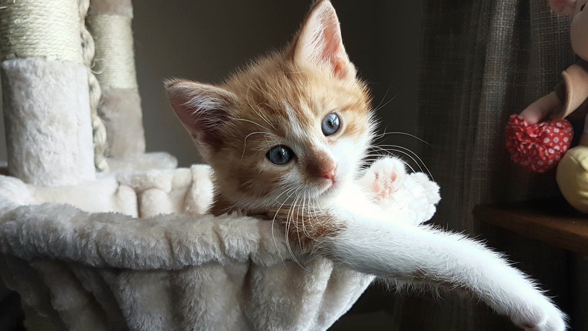 一手掌控比赛走势，雄鹿攻守兼备击溃太阳