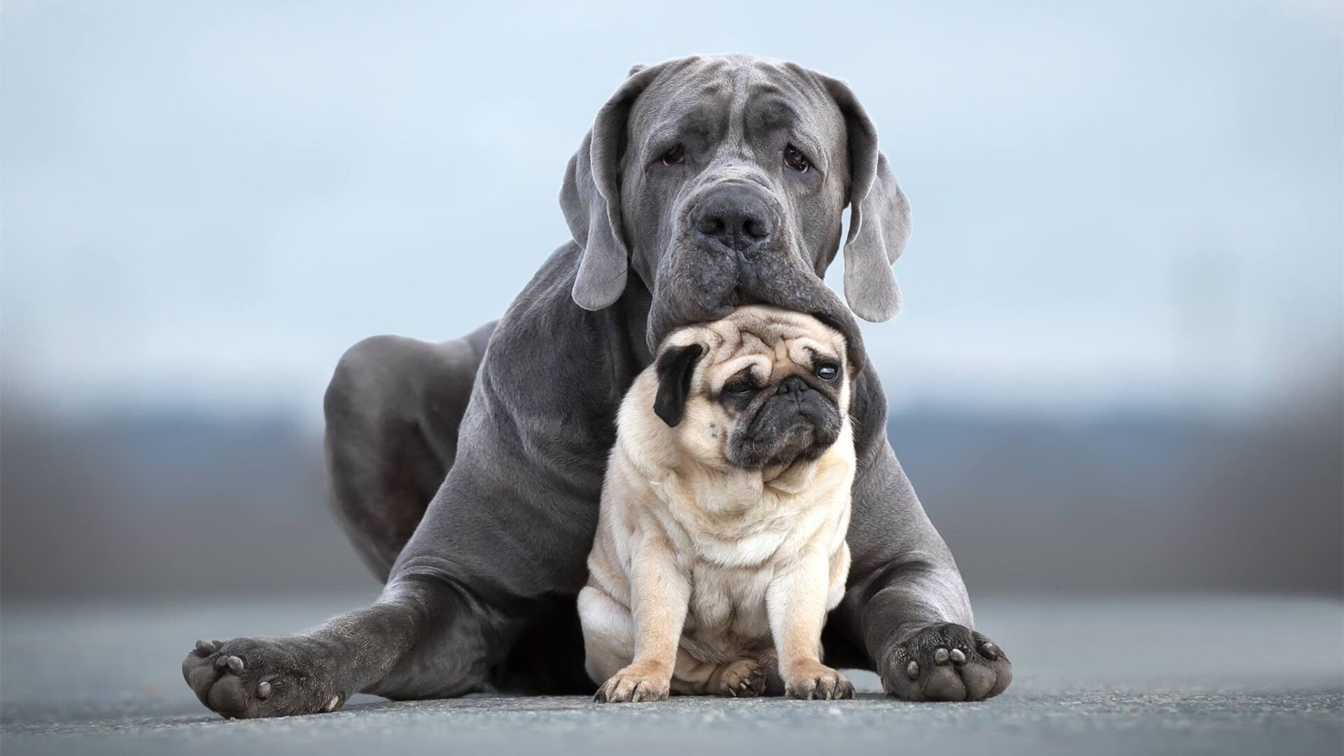 当东方铁骑踏碎麦加，哈登末节19分导演广厦逆袭尼克斯