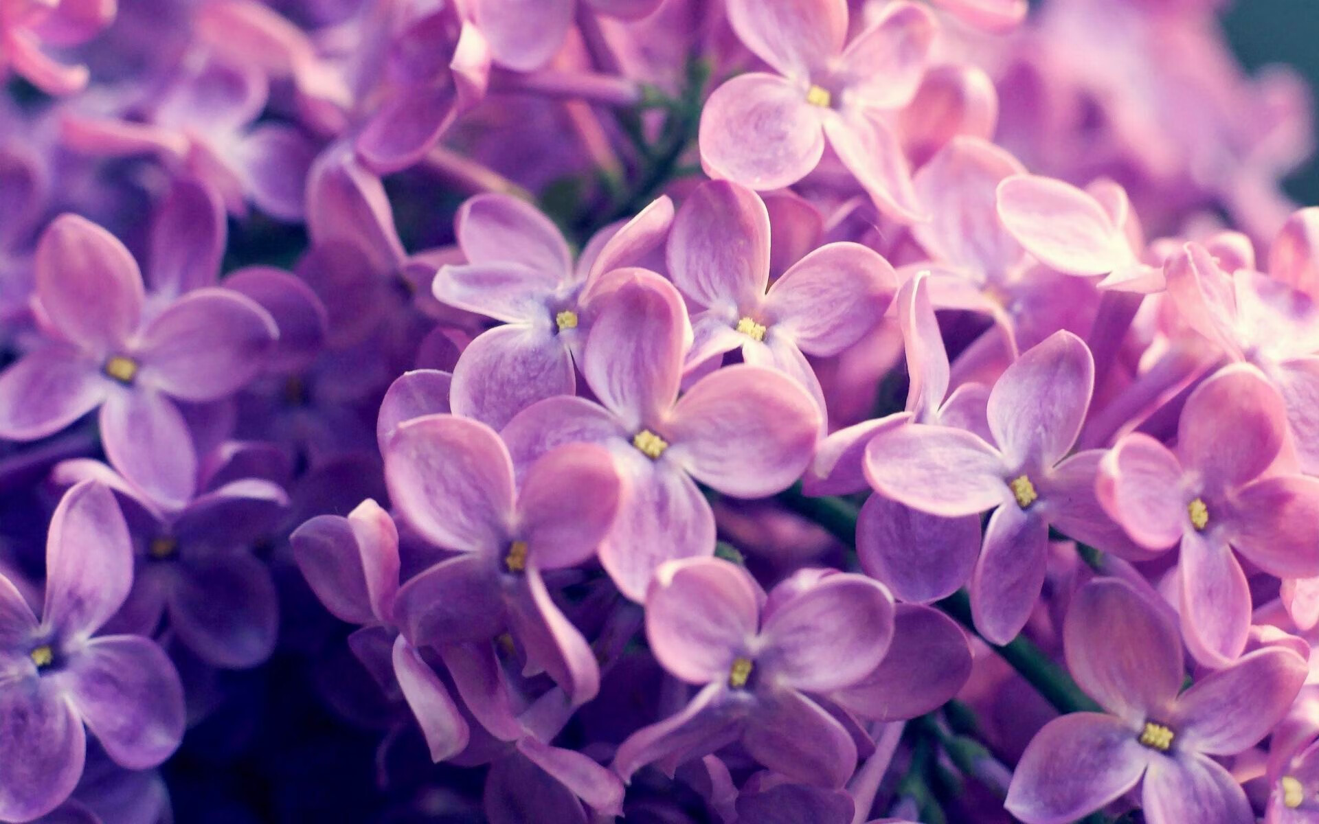 足球双响炮，德里赫特爆发闪耀，瑞士狂胜厄瓜多尔创纪录