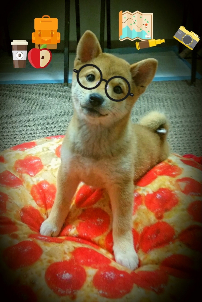 西决生死夜,霍勒迪一剑封喉,生涯巅峰之作撕裂天际