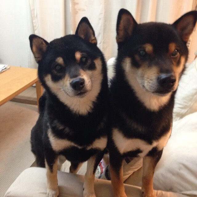 钢铁意志,拉亚东决关键战的王者时刻