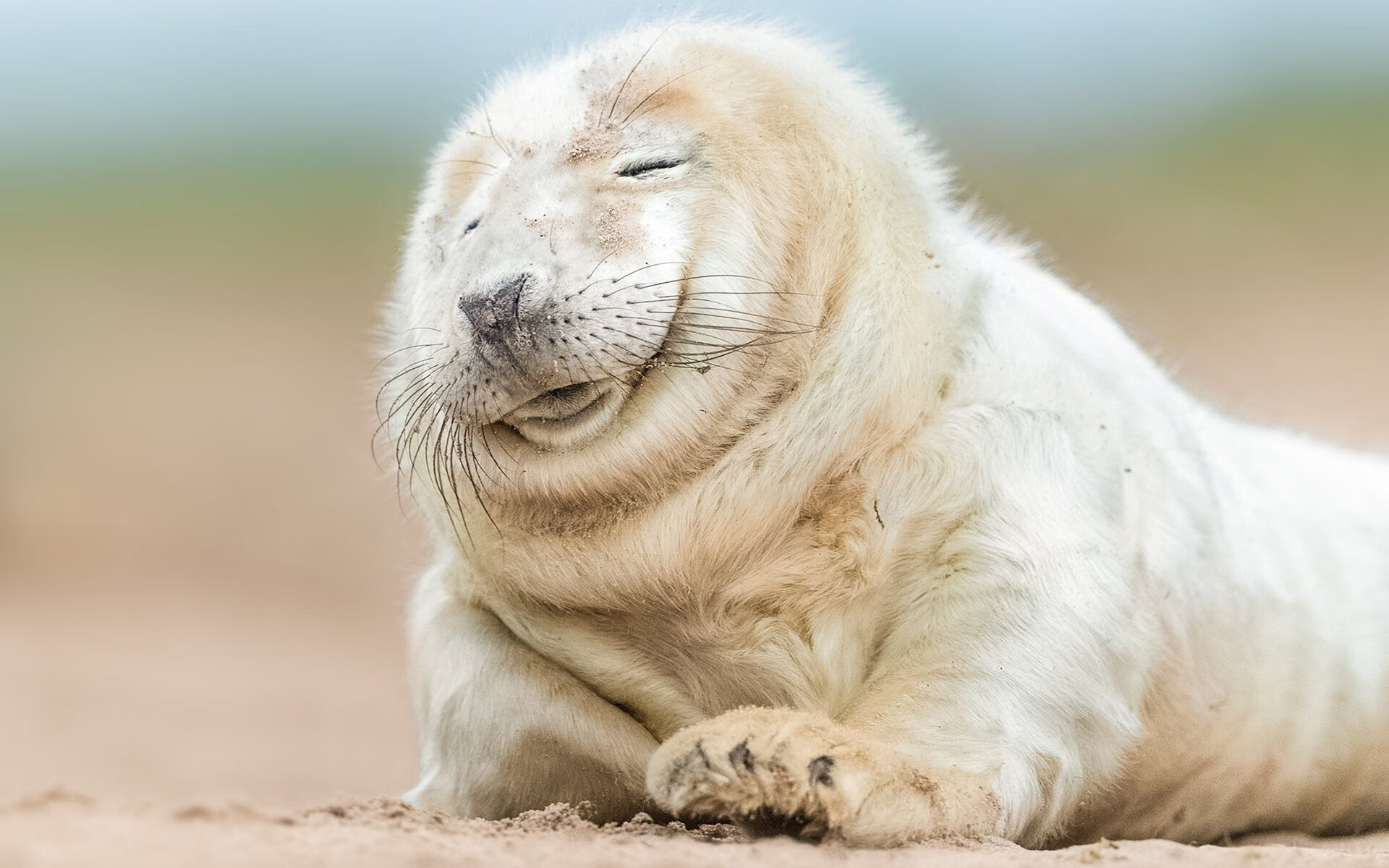 中场魔术师，卡马文加在国家德比之夜布下无形之网