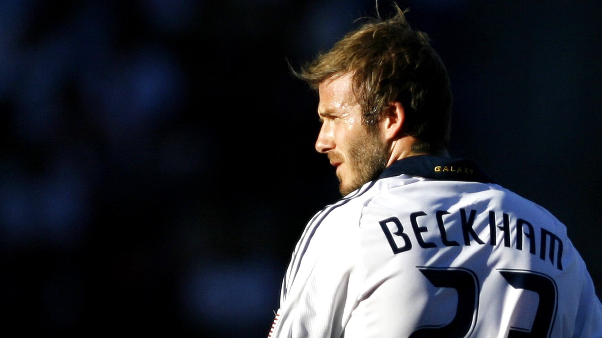 年度焦点之战，达龙·福克斯用统治级数据加冕夜之王者