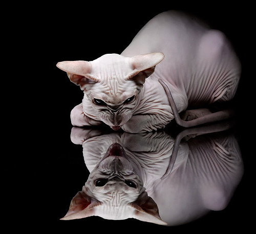 德国轻取瑞士，莱奥关键先生闪耀全场，奠定胜局